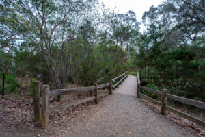 Blackburn Lake Sanctuary